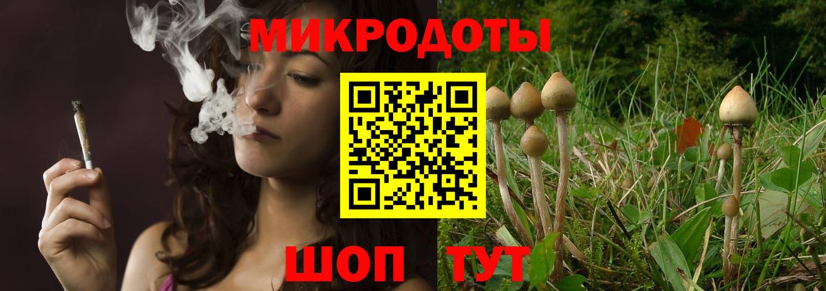 Псилоцибиновые грибы Psilocybe  Галлюциногенные грибы Psilocybe  Сосновоборск  Вход с VPN 