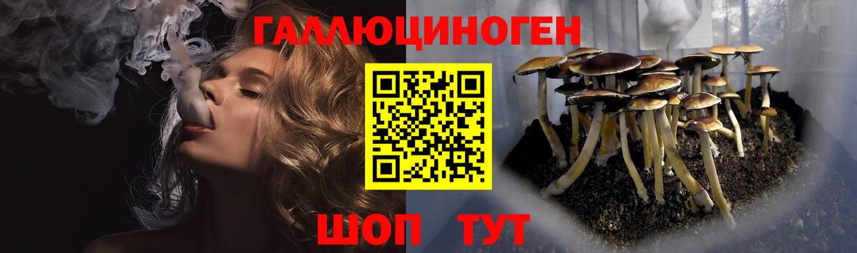 Галлюциногенные грибы Cubensis Сосновоборск